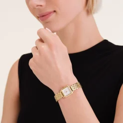 Boxelle Gold