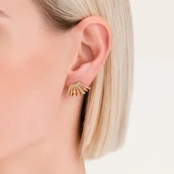 Caged Crystal Earrings