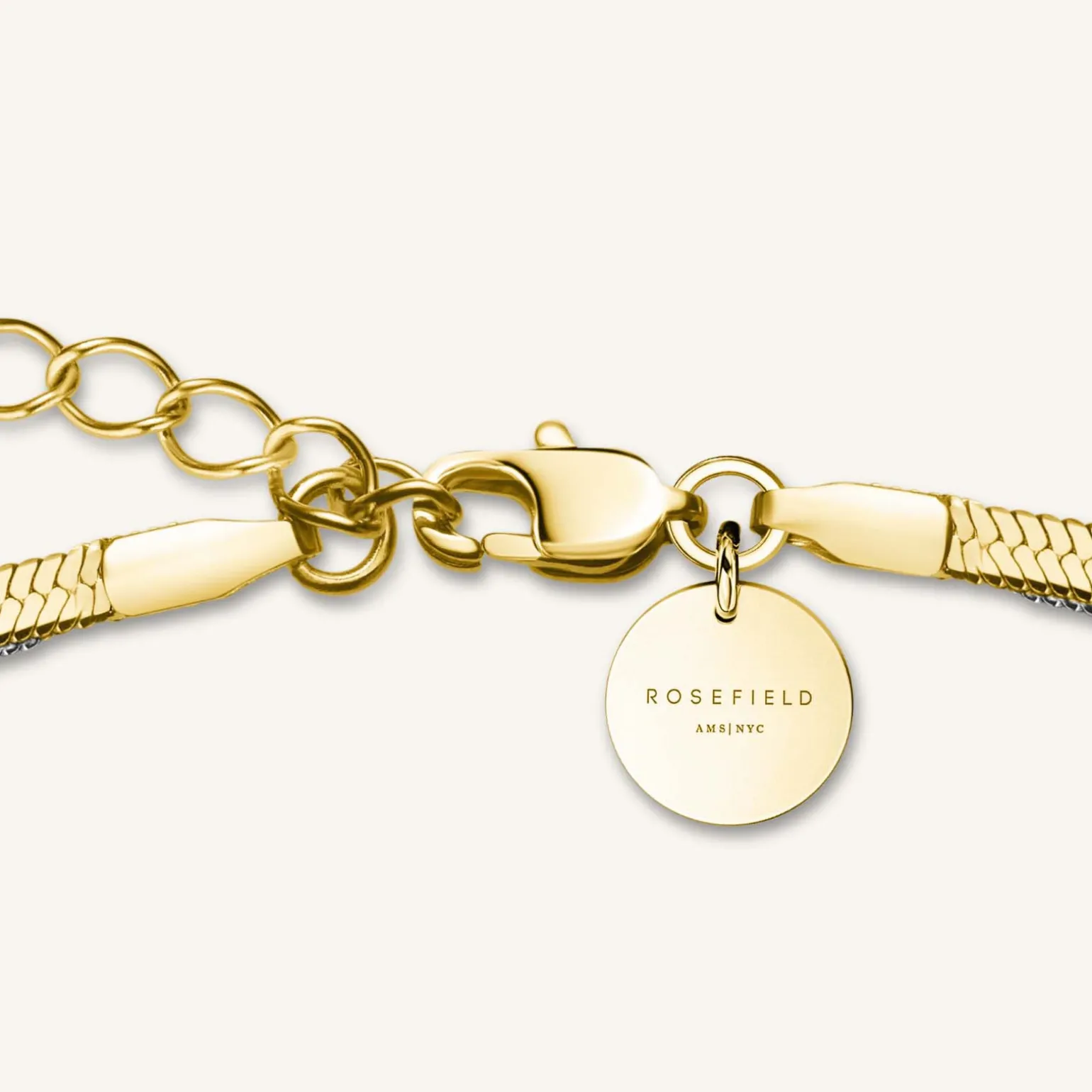 Duo Snake Necklace