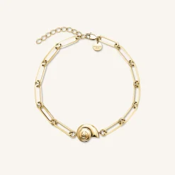 Shell Bracelet