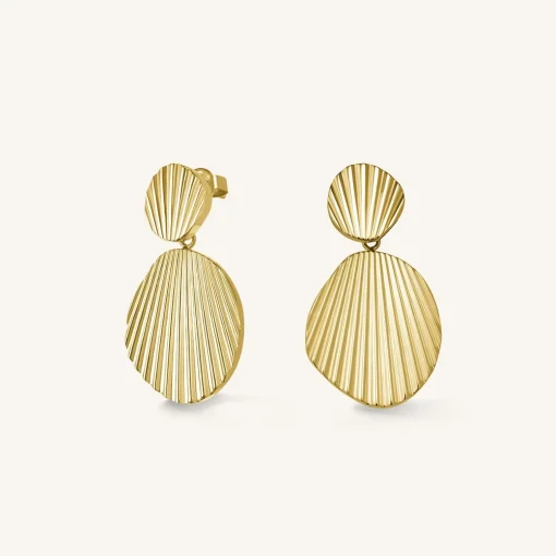 Shell earrings