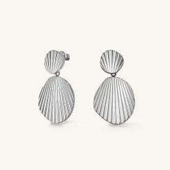 Shell earrings
