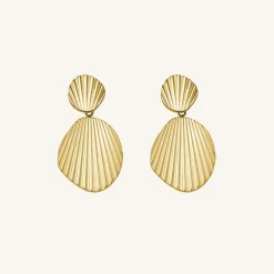 Shell earrings