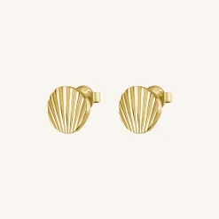 Shell studs