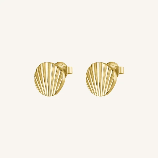 Shell studs